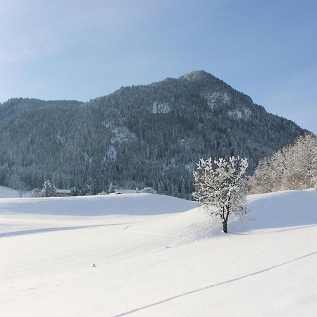 Ferienhaus Weber-Haeusl Reith im Alpbachtal Exterior foto