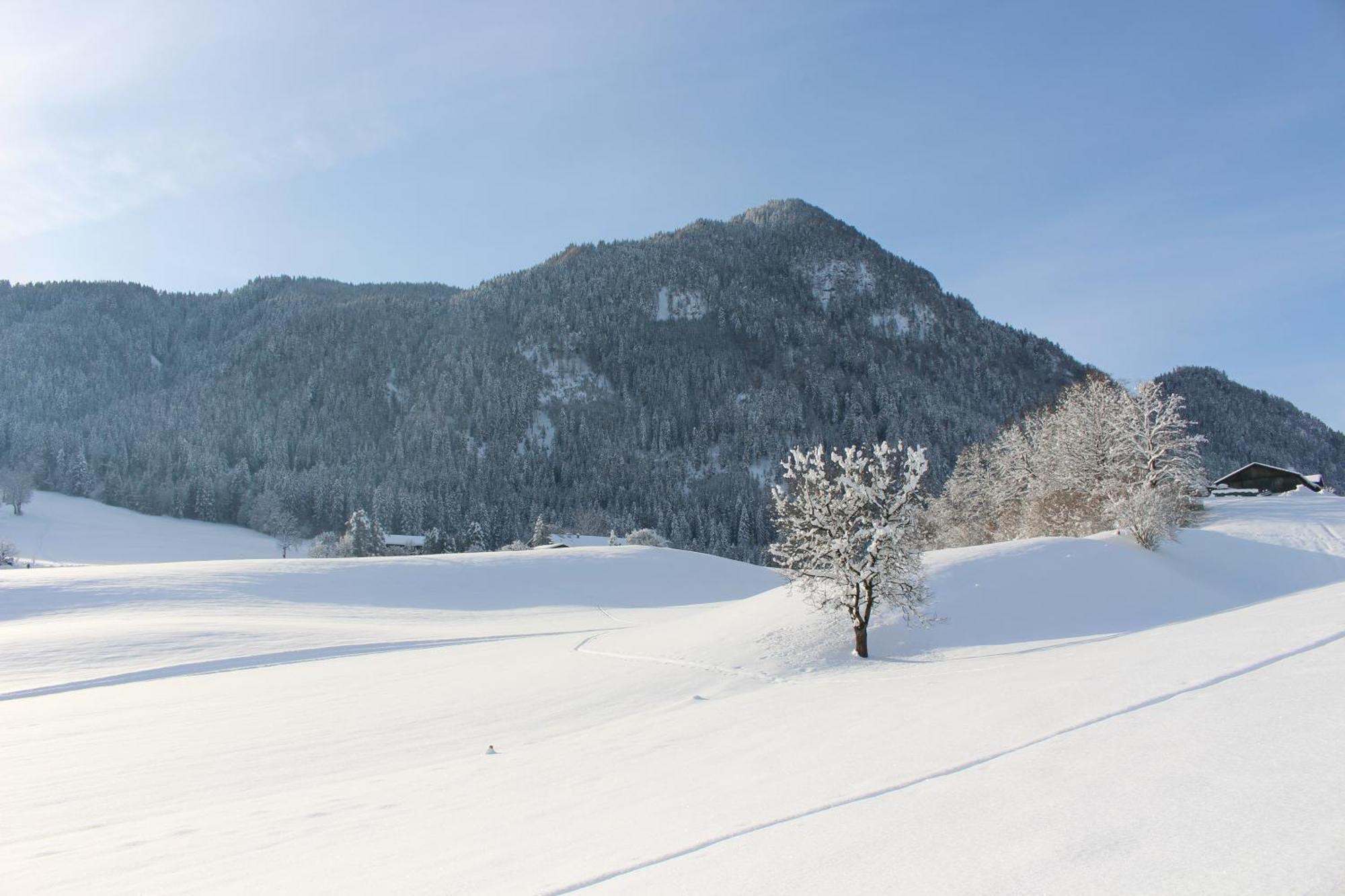 Ferienhaus Weber-Haeusl Reith im Alpbachtal Exterior foto